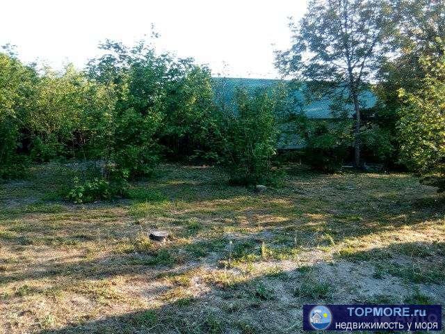 ЛЭП, Газ рядом,до моря 4 км скала Парус,участок ухоженный, из растительности только орех фундук. С документами...