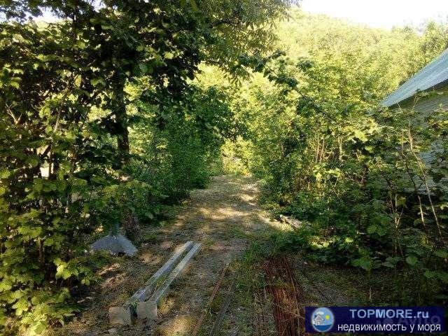 ЛЭП, Газ рядом,до моря 4 км скала Парус,участок ухоженный, из растительности только орех фундук. С документами... - 1