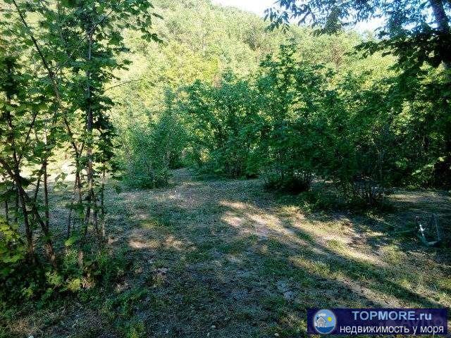 ЛЭП, Газ рядом,до моря 4 км скала Парус,участок ухоженный, из растительности только орех фундук. С документами... - 2