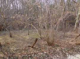 Продается дачный участок в ст ''Маяк-2'', 8,1 сот. Удачное...