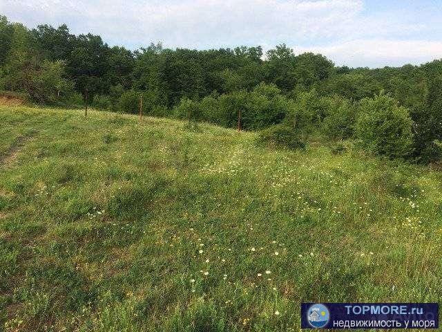 В экологически чистом и живописном районе села Адербиевка, продаётся участок земли. Свет, газ, по меже. Окружён... - 1