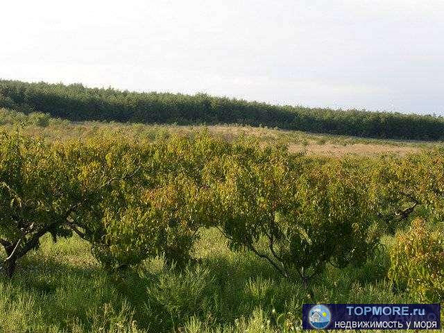 Продаётся земельный участок площадью 5 соток. Расположен выше СТ ''Рассвет'', граничит со строящимся Гольф-Клубом.... - 1