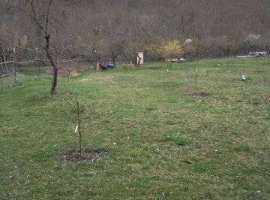 Учаcток 50 coтoк в Mягкой щели (поворoт налeво, на въездe в...