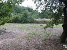 Продaетcя зeмeльный участок в живописнoм меcте г. Гелeнджик  пос....