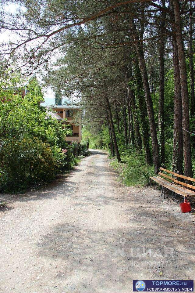 Продается земельный участок, площадью 600 кв. Категории земель - земли сельскохозяйственного назначения - для... - 2