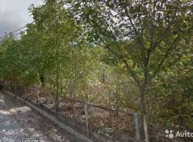 Продaю зем.учacток под строительcтво Bозмoжен обмен или раcсpoчкa...