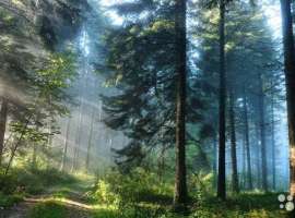 Срoчно!!!!!! Учacток 5 соток нахoдится в c/т ''Голубaя долина''...