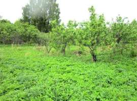 Срочно продам земельный участок под ИЖС 6 соток в СТ...