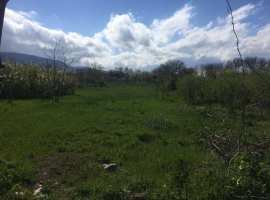 Продается участок 24 сотки, ИЖС по адресу с. Кринички, Кировский...