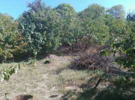 Продается видовой участок в районе Голландии 6,5 соток.

На участке...