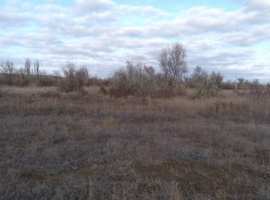 Продается видовой участок в посёлке Орловка (Вязовая роща),...