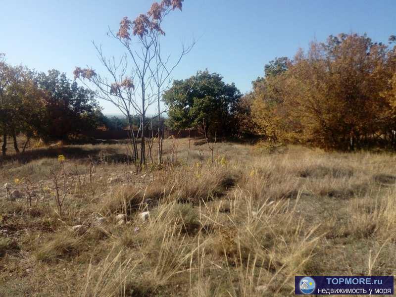 Эксклюзив! Продается большой участок 25 соток ИЖС р-н ул.Генерала Жидилова. Участок расположен на 2-й линии вдоль... - 1