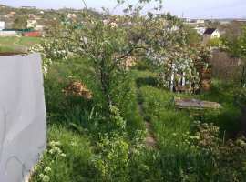 Продам участок на Северной стороне (СТ Вишня),6 соток.

На участке...