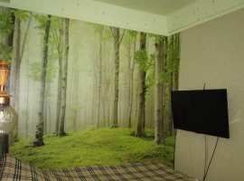 Предлагается к продаже отличная, чистая квартира в поселке...