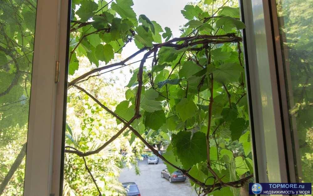 3-к. квартира с двумя раздельными спальнями в тихом зеленом дворе напротив жд вокзала. Идеальное место. Оптимальная,... - 2