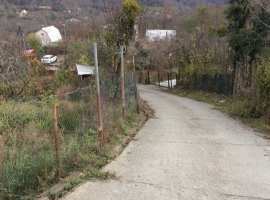 Сад с плодоносными деревьями, дом 2,5 этажа, капитальный, без...