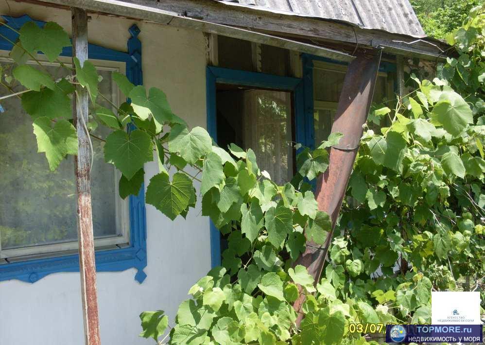 Продам дачу в Адлерском районе, село Галицино, рядом Монастырь, каньон реки Псахо. Дача находится между Адлером и... - 2